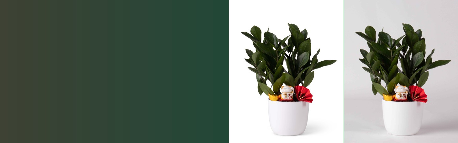 Background Removal Service