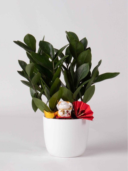 Before Background Removal Service - Pixetive